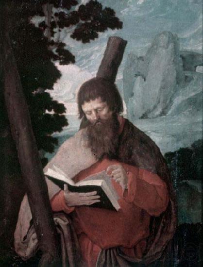 Lucas van Leyden Der heilige Andreas in Halbfigur, vor Landschaft France oil painting art